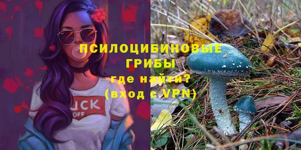 синтетический гашиш Абдулино