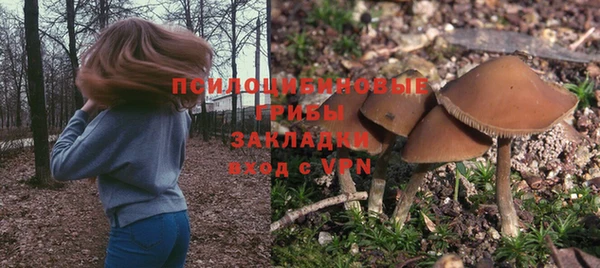спиды Абаза