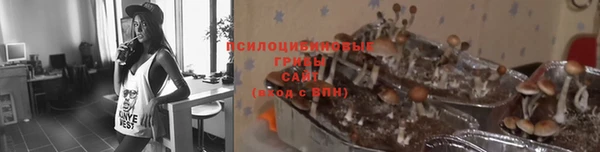 спиды Абаза