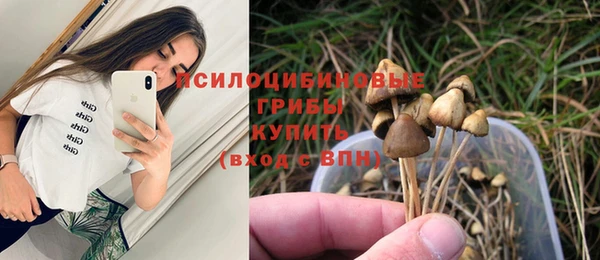 спиды Абаза