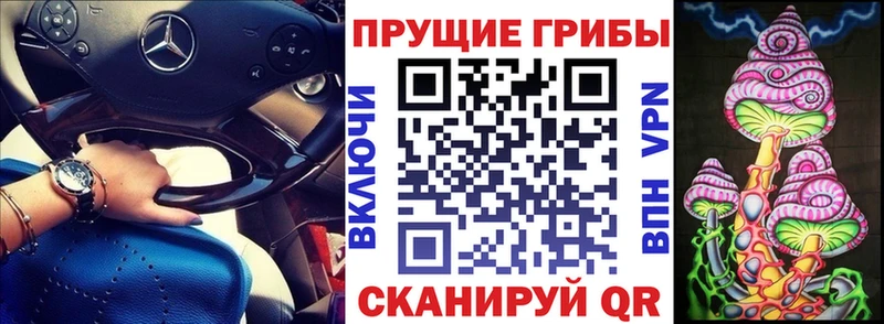 гидра вход где продают наркотики Задонск Псилоцибиновые грибы Psilocybine cubensis